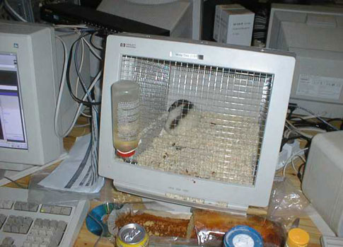Весёлые фотки