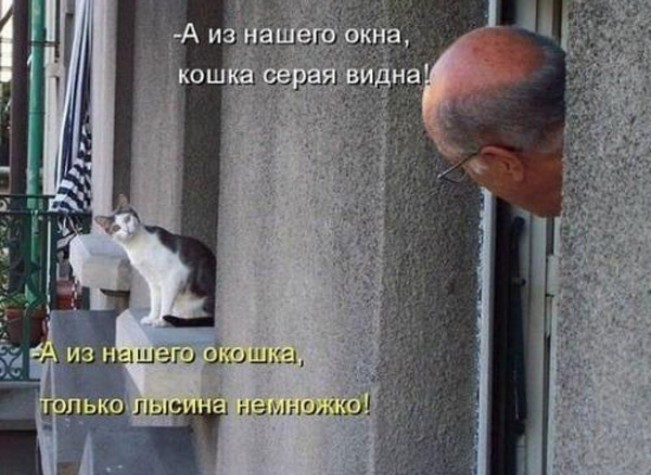 а из нашего окна...