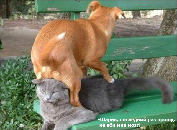 выносит мозг