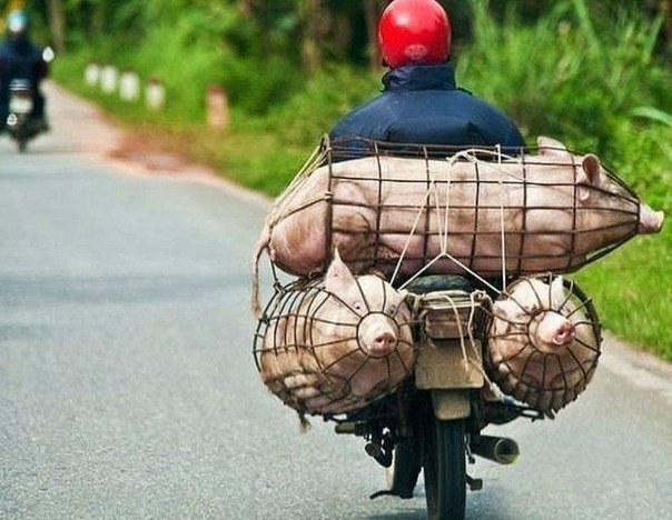 багаж