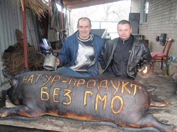 гмо
