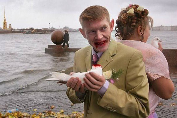 голубки